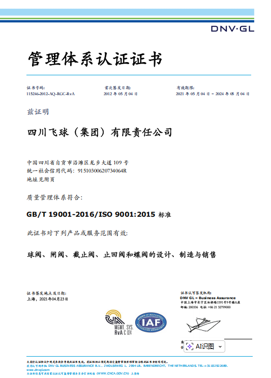 飛球-DNV認證-ISO9001證書