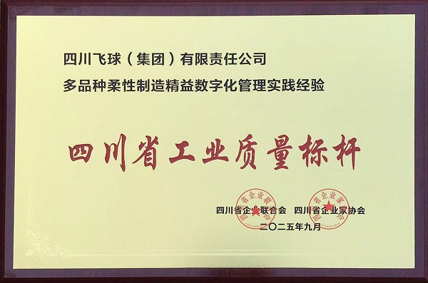 四川飛球榮獲“四川省工業質量標桿”，以卓越品質 領航行業發展