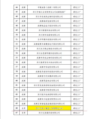 四川飛球成功獲評省級綠色工廠—專訪核心團隊，暢談攻堅歷程